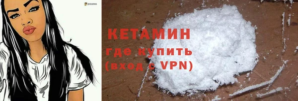 крисы Бородино