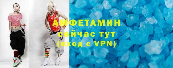 крисы Бородино