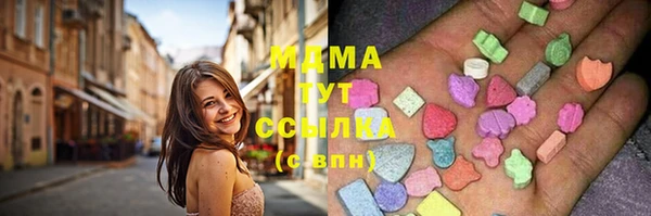 крисы Бородино