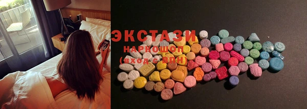 крисы Бородино