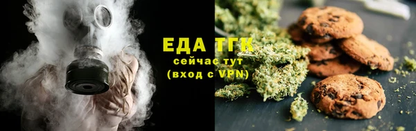 крисы Бородино