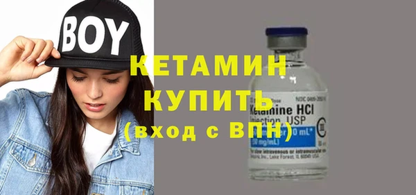 крисы Бородино