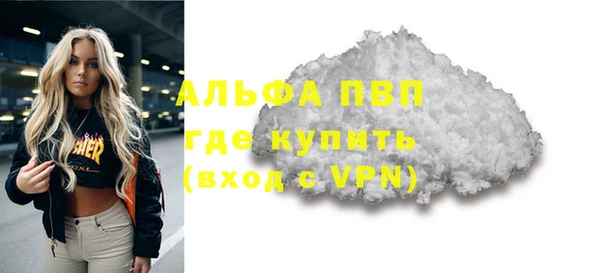 ECSTASY Богданович