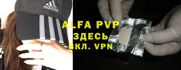 ECSTASY Богданович