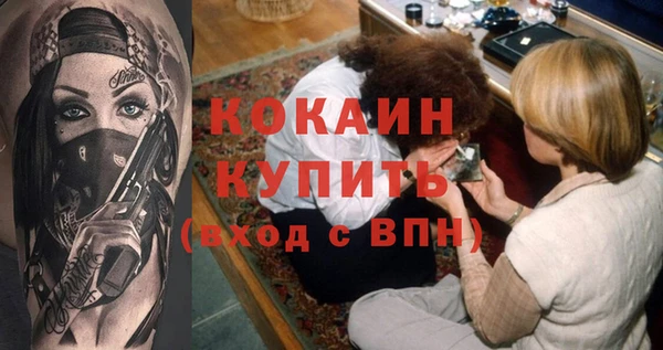 крисы Бородино