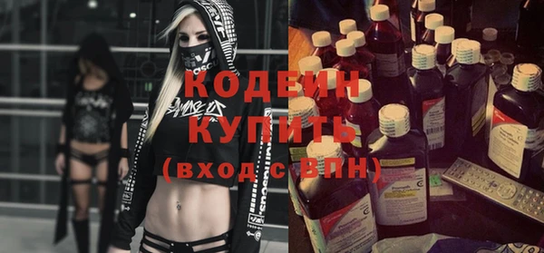 крисы Бородино
