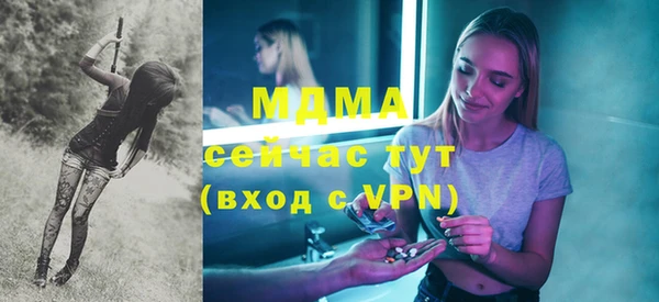 крисы Бородино