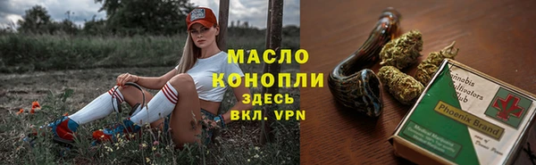 крисы Бородино